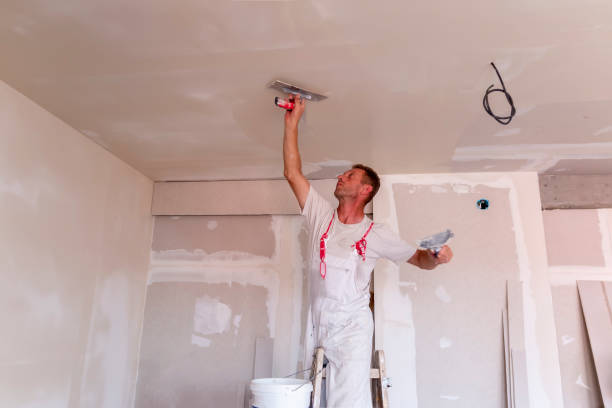 Best Drywall Removal and Disposal  in USA